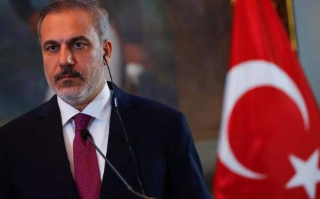 Turkey condemns Israel's actions in Gaza, seeks Justice at ICJ
