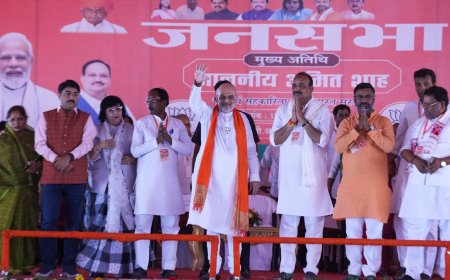 Lok Sabha Elections 2024: Discord brewing in BJP over Raebareli candidate Dinesh Pratap Singh; Amit Shah steps in