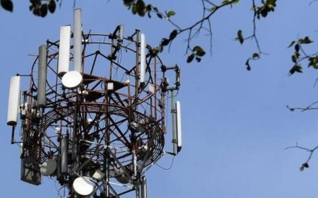 ₹4/Share Dividend: Airtel-backed telecom major declares final dividend in first earnings post IPO launch