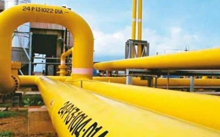 GAIL Q4FY24 results: Net profit soars 260% YoY but falls 23% sequentially; total income declines