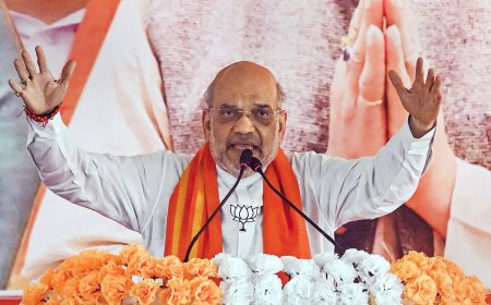 Does BJP have a plan B if it fails to cross majority mark in Lok Sabha polls? Here is what Amit Shah says. Watch video