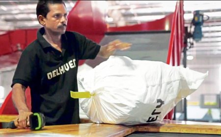 Delhivery's profit party cut short as express slump dents growth