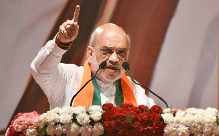 '310 paar already': Amit Shah urges people to help PM Modi win over 400 Lok Sabha seats