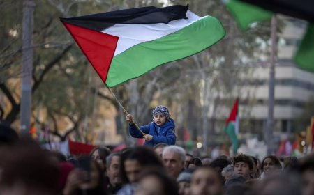Which countries recognise Palestinian state?