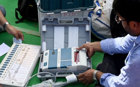 Lok Sabha Elections in Delhi: What's open and what's closed on polling day?