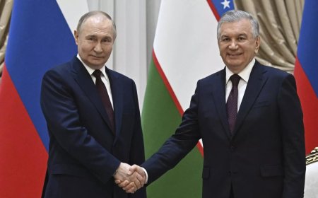 Russia to build Central Asia's first nuclear power plant in Uzbekistan