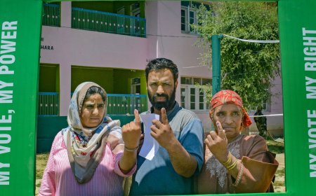 Lok Sabha Elections 2024: J-K records highest voter turnout in 35 years, says Election Commission