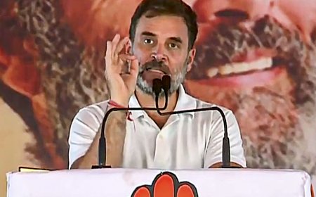 '....how did Narendra Modi become OBC?': Rahul Gandhi slams PM amid reservation row, bats for caste census again