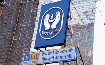 LIC sells fewer policies but records higher net profit of  ₹40,676 crore in FY24