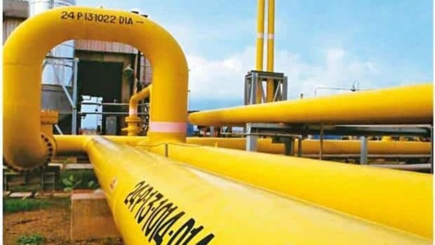 GAIL Q4FY24 results: Net profit soars 260% YoY but falls 23% sequentially; total income declines