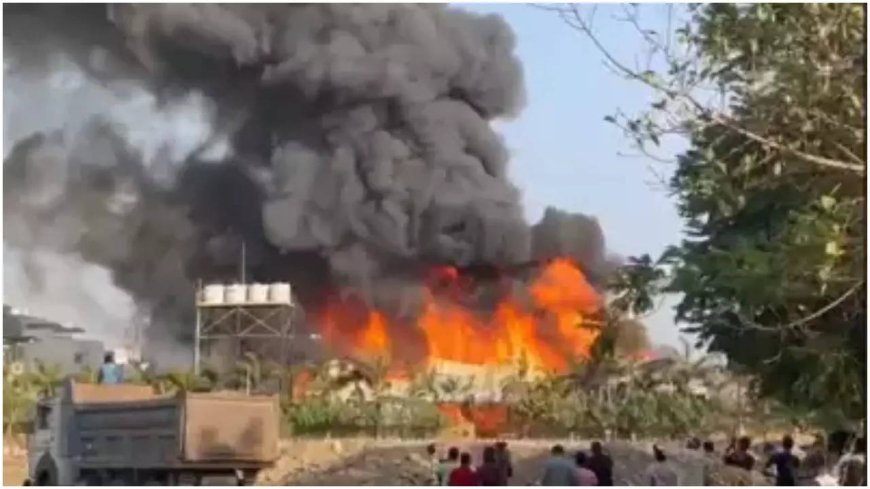 Rajkot fire incident: Court sends accused to 14-day police custody