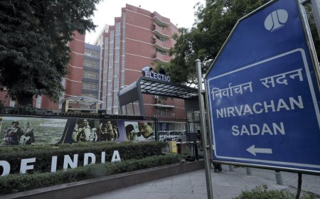 Lok Sabha elections: EC orders repolling at specific booths in Barasat, Mathurapur amid violence reports