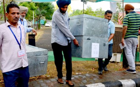 Lok Sabha Elections 2024: Who are counting agents? What's their role on the results day on June 4?