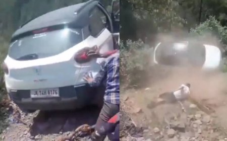 Watch: Tata Punch tumbles down mountain, driver survives