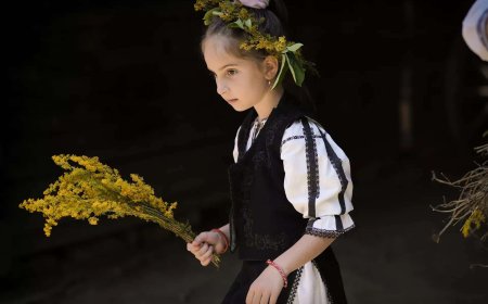 Accept Romanian blouse inspired designs: Govt to LV