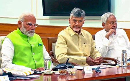 Mint Primer | Alliance dharma: What reforms work, what won’t