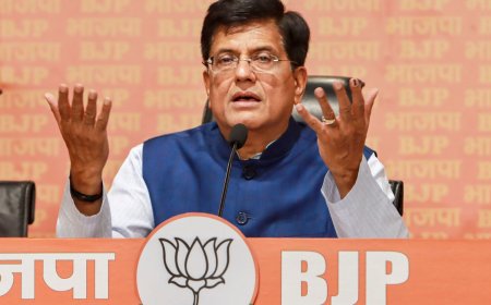 ‘Rahul Gandhi is hatching conspiracy’, says BJP after Congress leader seeks probe into June 4 market crash