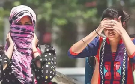 Delhi's Narela hottest at 45.7°C, brace for heatwave again