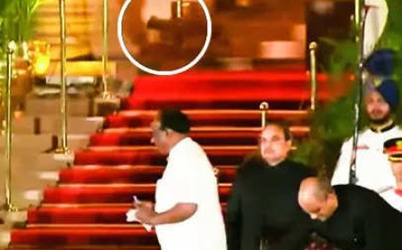 Wild speculation! 'Mysterious animal' at Prez House has social media abuzz