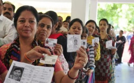 Lok Sabha poll: The mystery of the absent Indian voter in 2024, in charts