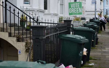 Green Party's losses at EU vote to hit climate goals?