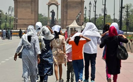 The burning capital: What’s driving Delhi's extreme heatwave?