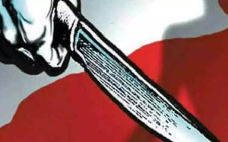 2 stabbed to death for 'revenge' in northwest Delhi
