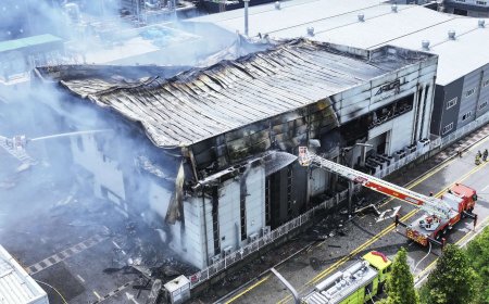 South Korea factory fire: 20 dead bodies found