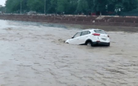 Video: Cars, buses swept away in Haridwar after heavy rain