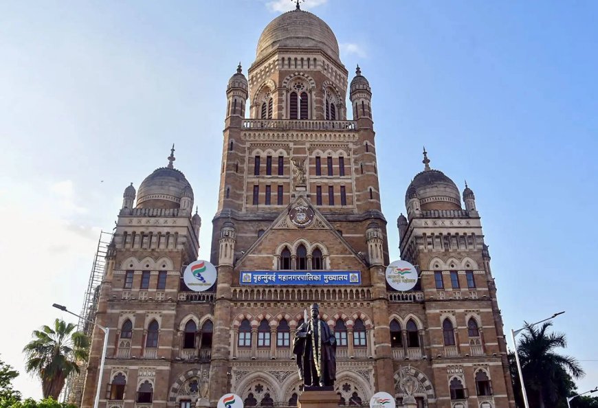 BMC to consult IIT-Roorkee on Malabar Hill reservoir trees