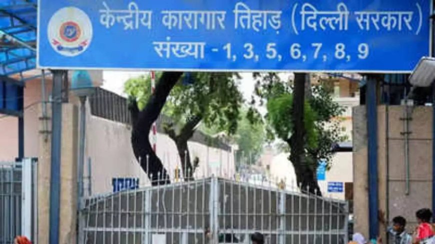 Gangster stabbed inside Tihar Jail