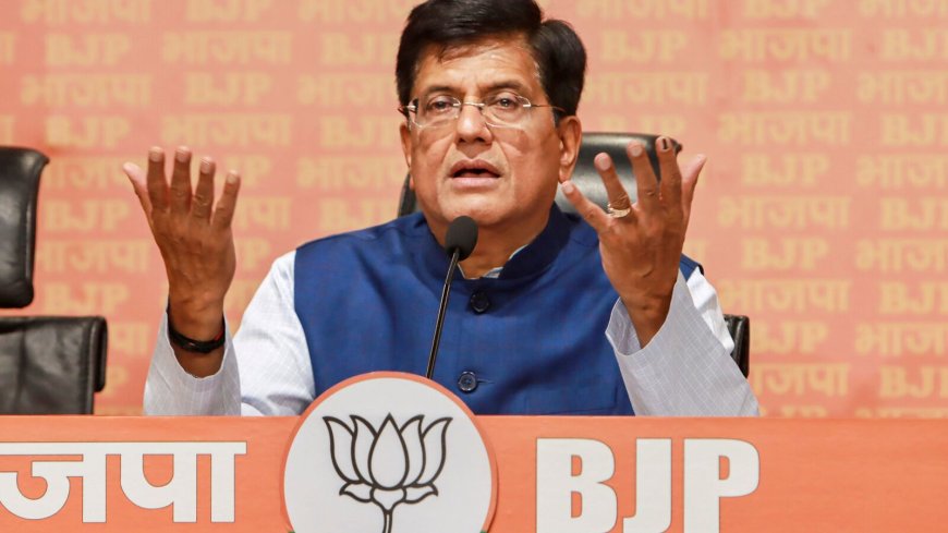 ‘Rahul Gandhi is hatching conspiracy’, says BJP after Congress leader seeks probe into June 4 market crash