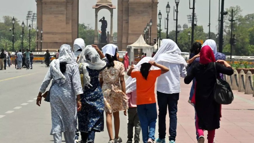 The burning capital: What’s driving Delhi's extreme heatwave?
