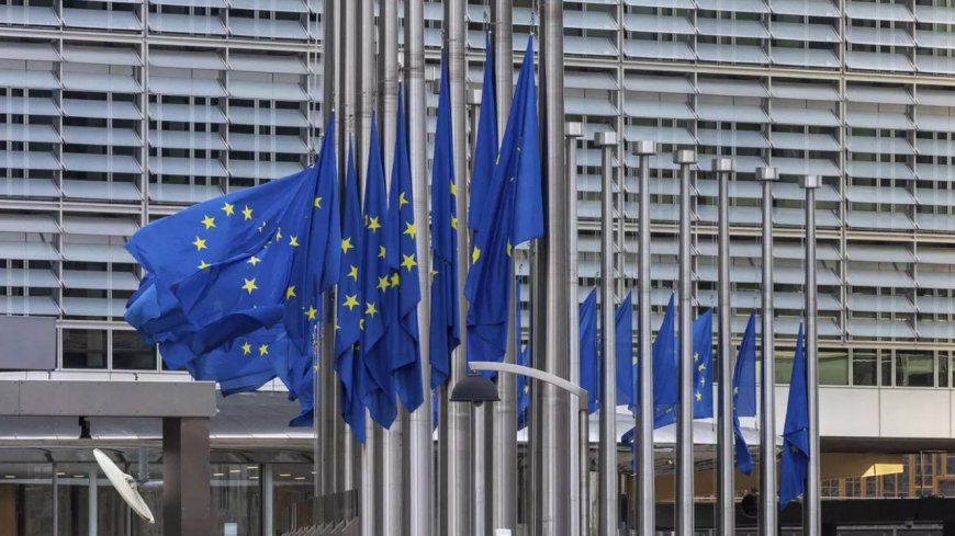 EU tariffs on China not a 'punishment', says German economy minister