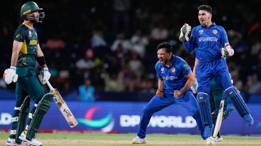 Netizens in awe after Afghanistan stun Australia in T20 World Cup, say: ‘Success is the sweetest revenge’