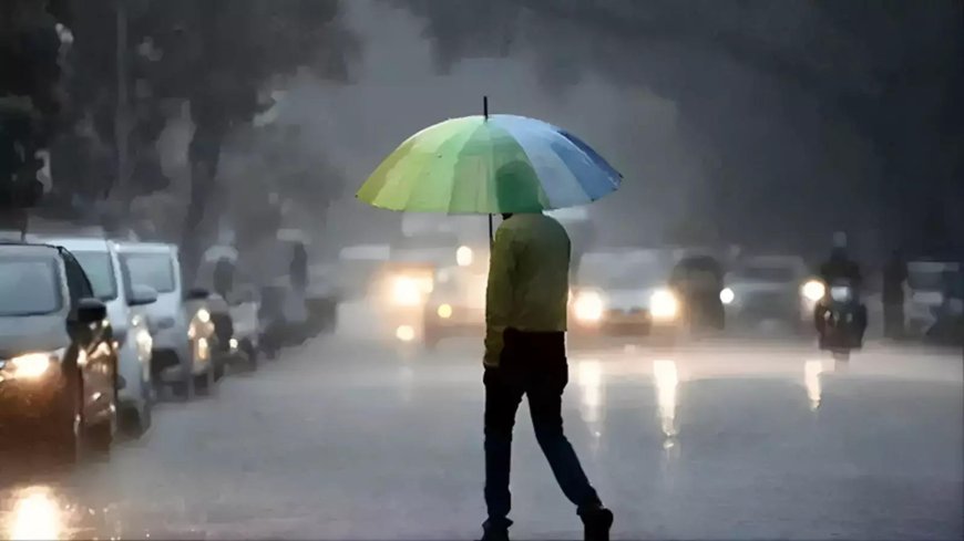 These states to get relief from heatwave, IMD predicts light to moderate rain; all you need to know