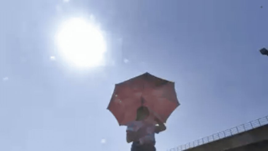 What is the new OSHA rule? Biden proposes heat protection regulations as US swelters