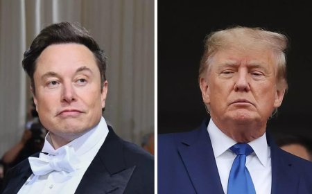 Elon Musk-Donald Trump interview hit by DDoS attack: What is DDoS attack