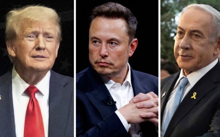 Trump talks about 'Iron Dome' in interview with Musk: What does it mean?