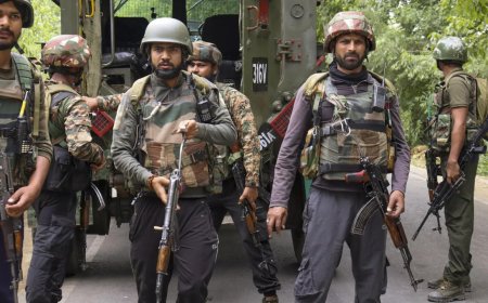 J&K: 3 foreign terrorists neutralised in Gandoh, key terror module members held