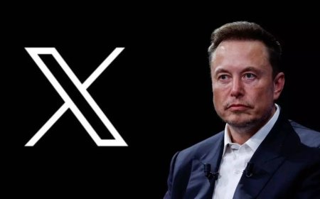 What is DDoS attack? Cyber assault Musk says disrupted Trump's interview on X