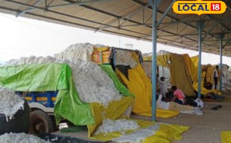 दमका सफेद सोना, पर 500 रुपये कम मिले दाम, गेहूं, मक्का, सोयाबीन के भी घटे रेट