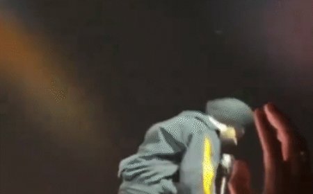 पंजाबी सिंगर पर फैन ने फेंका फोन:पटियाला पैग सॉन्ग गा रहे थे दिलजीत दोसांझ; पहले फैन को समझाया, फिर जैकेट गिफ्ट की