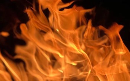 भास्कर अपडेट्स:​​​​​​दिल्ली के शास्त्री पार्क की बिल्डिंग में आग लगी, दमकल की 4 गाड़ियां पहुंचीं