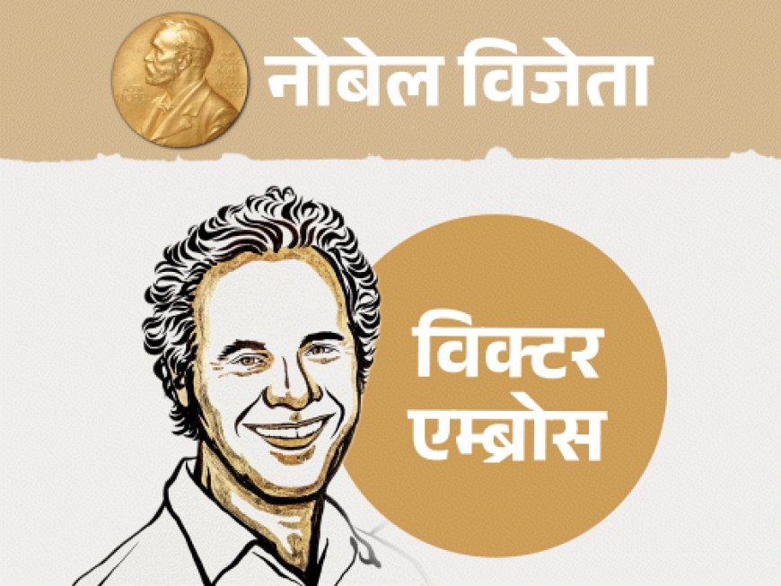 मेडिसिन का नोबेल दो अमेरिकी वैज्ञानिकों को:माइक्रो RNA की खोज के लिए मिला सम्मान, ये कैंसर, डायबिटीज जैसी बीमारियों की पहचान में मददगार