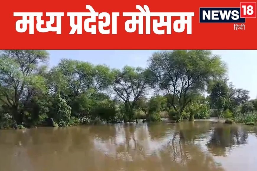 भोपाल-रायसेन सहित 31 जिलों में होगी बारिश, मंडला में पारा 34 डिग्री के पार