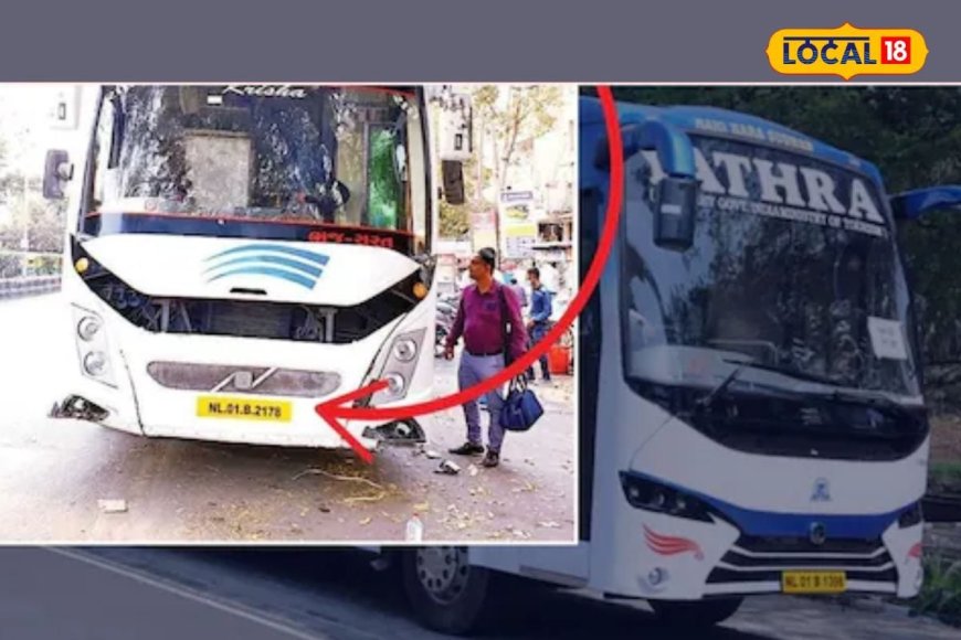 गुजरात की बसों में नागालैंड की नंबर प्लेट क्यों होती हैं? वजह जान चौंक जाएंगे