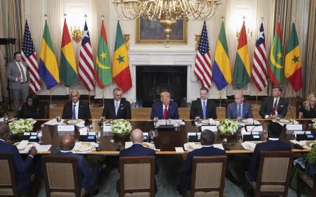 'Such good English': Trump’s compliment to Liberian President triggers criticism - watch