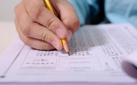 MHT CET CAP Round 1 Seat Allotment 2025: Results OUT at fe2025.mahacet.org - Check steps to download