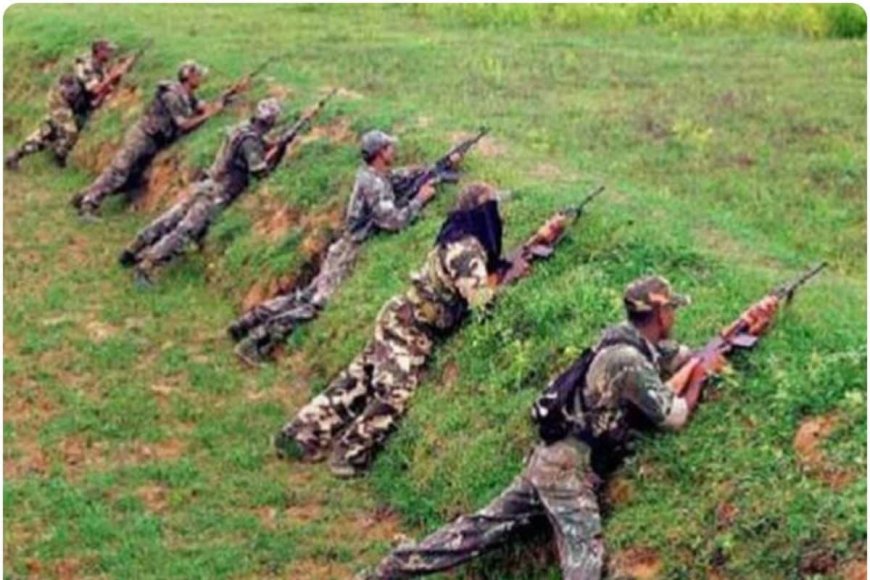 सरेंडर की बात से मुकरे नक्सली, खूनी साल में आखिरी जंग का किया ऐलान